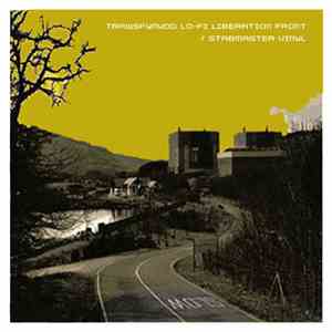 Stabmaster Vinyl, Trawsfynydd Lo-Fi Liberation Front - EP