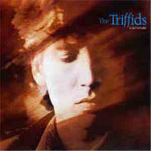 The Triffids - Calenture
