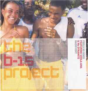 B-15 Project - Feels So Good
