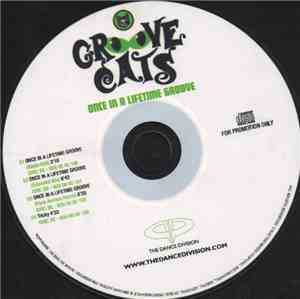 Groove Cats - Once In A Lifetime Groove