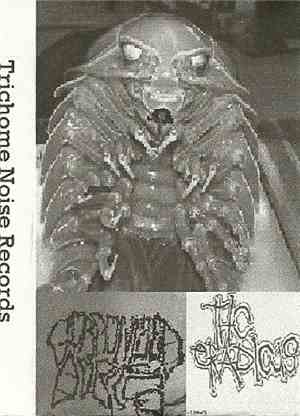 Gorgonized Dorks / THC Eradicus - Split