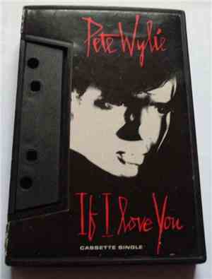 Pete Wylie - If I Love You