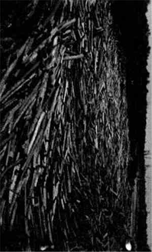 Being  - Battery Cages II