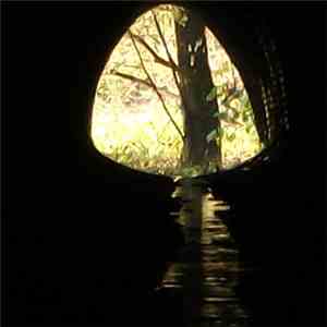mole people  - Mole Scroll