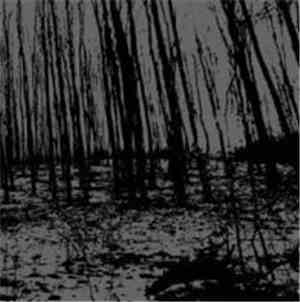 Psykotisk / Vredgad - Psykotisk / Vredgad