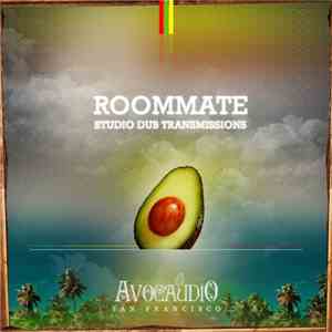 Roommate  - Studio Dub Transmissions
