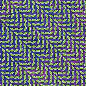 Animal Collective - Merriweather Post Pavilion