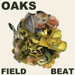 Oaks  - Field Beat