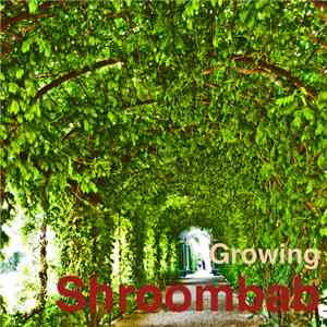 Shroombab - Growing