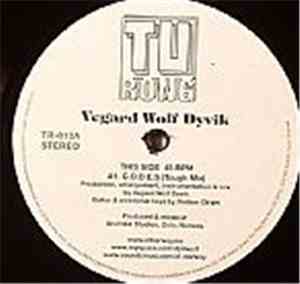Vegard Wolf Dyvik - C.O.D.E.S