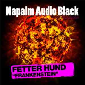 Fetter Hund - Frankenstein