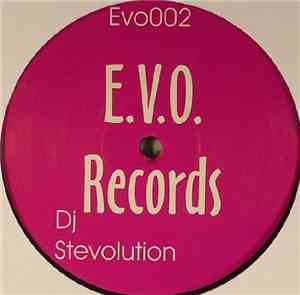 DJ Stevolution - I Never Knew