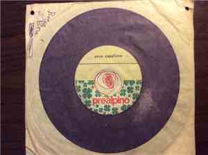 Unknown Artist - Cane Capellone / Quel Mazzolin Di Fiori