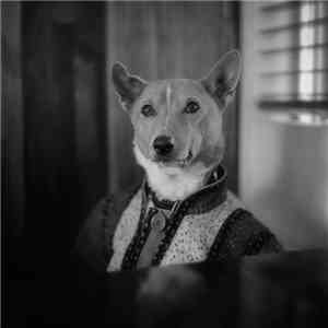 Osta Love - The Isle of Dogs