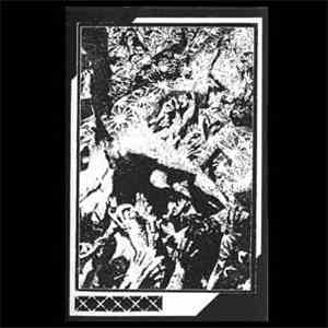 Rhizome Angle Naked Coda - Meteor Bones' Carnival