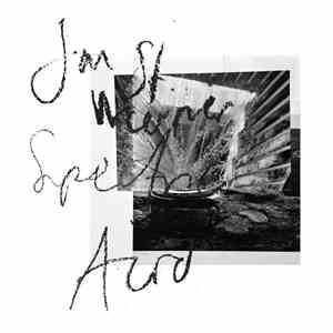 Jan St. Werner - Spectric Acid (Fiepblatter Catalogue #5)