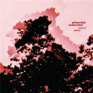 Primordial Undermind - Loss Of Affect