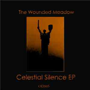 The Wounded Meadow - Celestial Silence