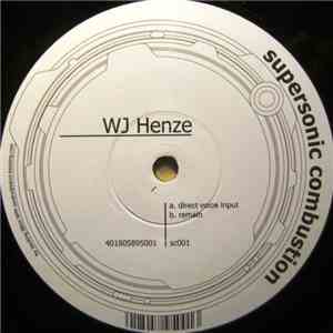 WJ Henze - Direct Voice Input