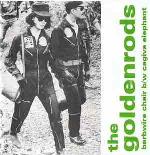The Goldenrods - Barbwire Chair