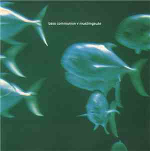 Bass Communion v Muslimgauze - Bass Communion v Muslimgauze