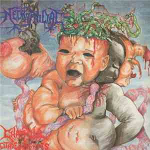 Necrophiliac - Chaopula. Citadel Of Mirrors