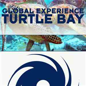 Global Experience - Turtle Bay