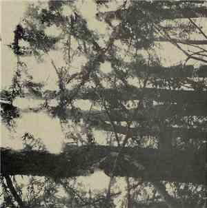 Peter Wright - At Last A New Dawn