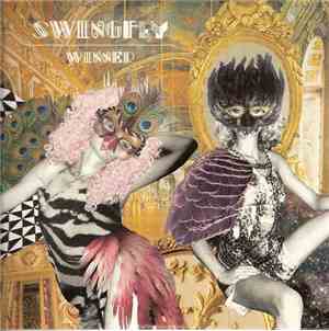 Swingfly - Winner