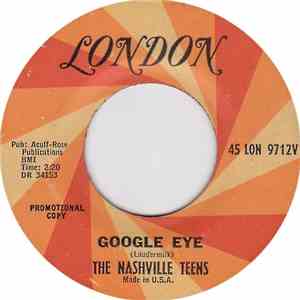 The Nashville Teens - Google Eye
