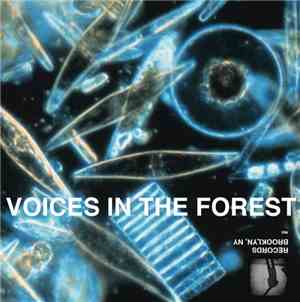 Thick Ankles - Voices In The Forest