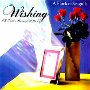 A Flock Of Seagulls - Wishing (If I Had A Photograph Of You)