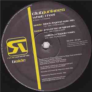 Club Junkees - What I Feel
