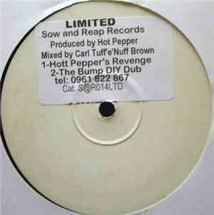 Hot Pepper & D.I.Y. - Hot Peppers Revenge (Remix) / The Bump