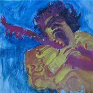 Jimi Hendrix - The Jimi Hendrix Concerts