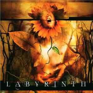 Labyrinth  - Labyrinth