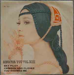 The Animals, Tommy James & The Shondells, The Turtles - Song For You, Vol X ...