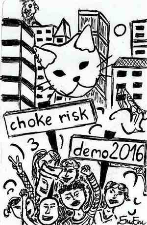 choke risk - demo 2016