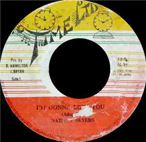 Nathan Skyers - I'm Gonna Love You
