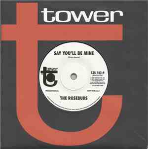 The Rosebuds - Say You'll Be Mine
