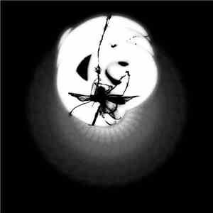 Washed Up Wings - The Fall