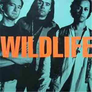 Wildlife  - Wildlife