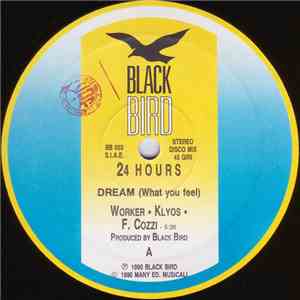24 Hours - Dream (What You Feel)