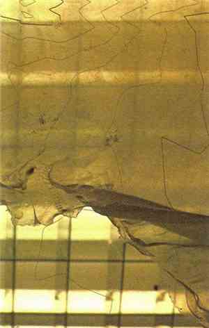 dsic - Tiamat/Taniwha