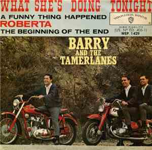 Barry And The Tamerlanes - I Wonder What She's Doing Tonight