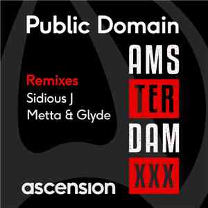 Public Domain - Amsterdam (The Remixes)