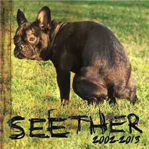 Seether - 2002-2013