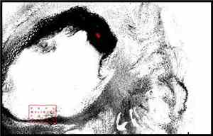 Paul Wolinski - Full Bleed