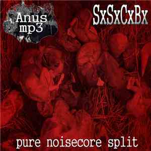 ANUS MP3 / SxSxCxBx - Pure Noisecore Split