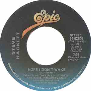 Steve Hackett - Hope I Don't Wake
